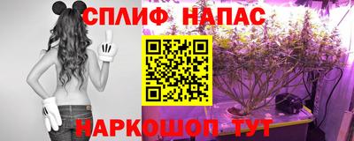 ГАЛЛЮЦИНОГЕННЫЕ ГРИБЫ Апшеронск