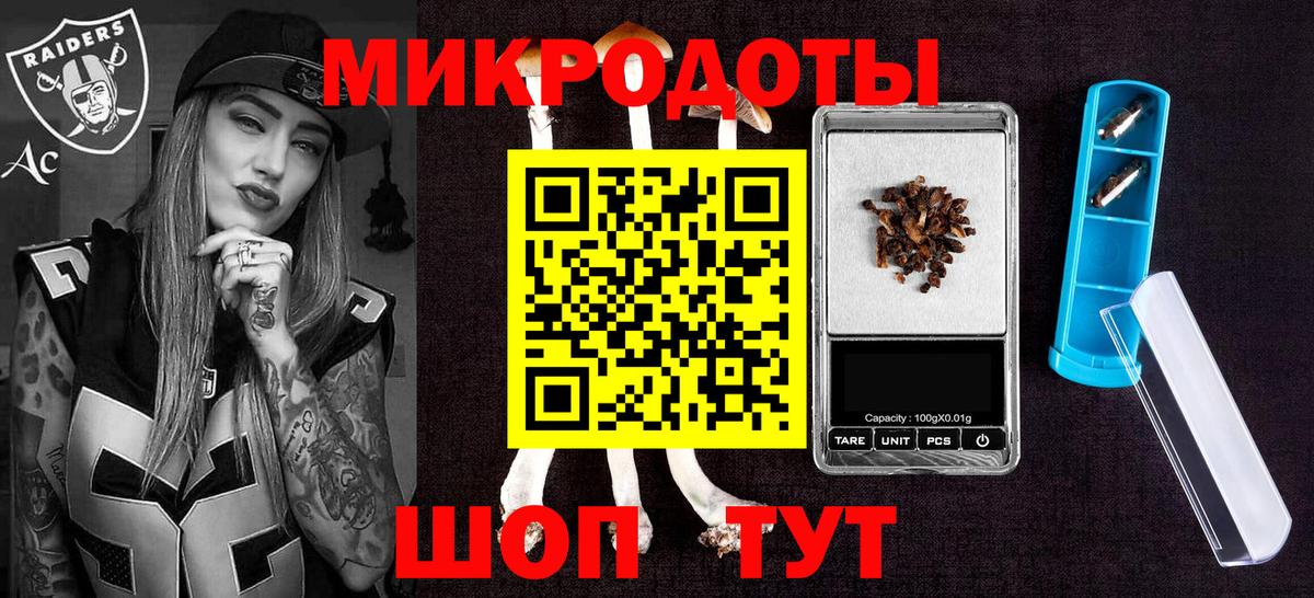 Псилоцибиновые грибы Cubensis Балахна