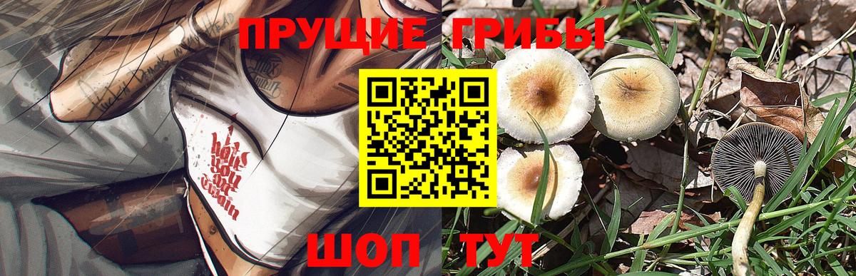 Галлюциногенные грибы мухоморы  Вход с VPN  Балахна  Галлюциногенные грибы ЛСД 